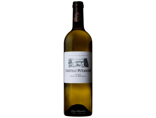 Château Puyanche Francs Côtes de Bordeaux Blanc 2019/2020 750ml